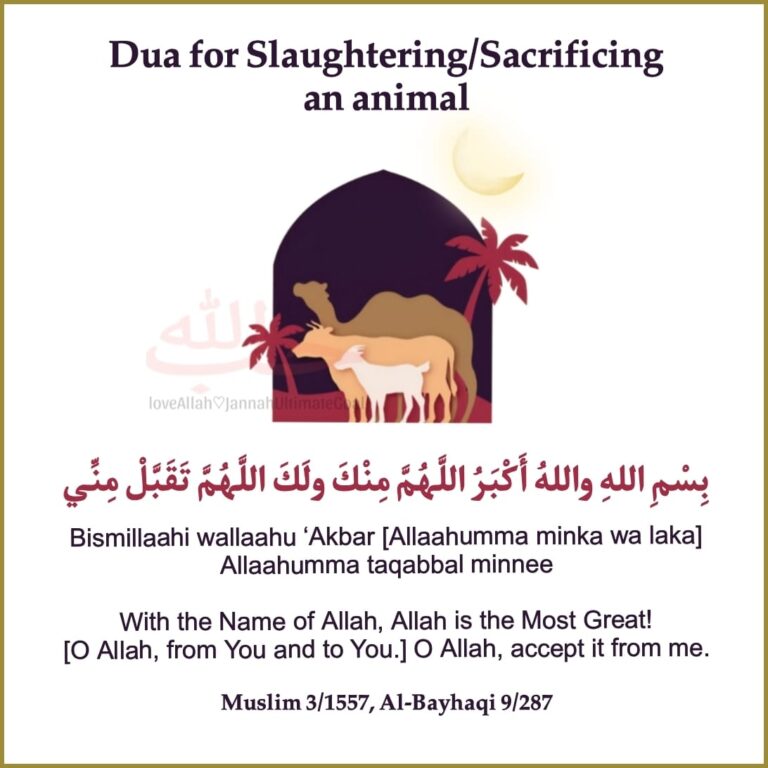 Dua for Qurbani